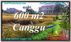 JUAL TANAH MURAH di CANGGU BALI 6 Are View sawah lingkungan villa