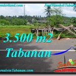 JUAL TANAH MURAH di TABANAN 35 Are di Tabanan Selemadeg