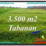 INVESTASI PROPERTI, DIJUAL TANAH di TABANAN TJTB302