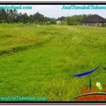 INVESTASI PROPERTI, DIJUAL TANAH di TABANAN TJTB302