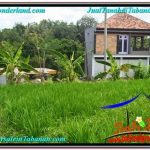 INVESTASI PROPERTI, DIJUAL TANAH di TABANAN TJTB302