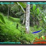 JUAL TANAH MURAH di TABANAN 2,000 m2 View Sawah