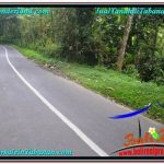 JUAL TANAH MURAH di TABANAN 2,000 m2 View Sawah