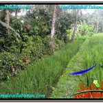 JUAL TANAH MURAH di TABANAN 2,000 m2 View Sawah