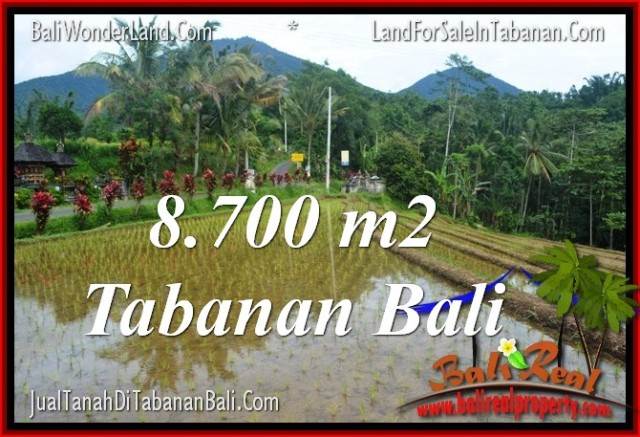 TANAH di TABANAN BALI DIJUAL MURAH Untuk INVESTASI TJTB316