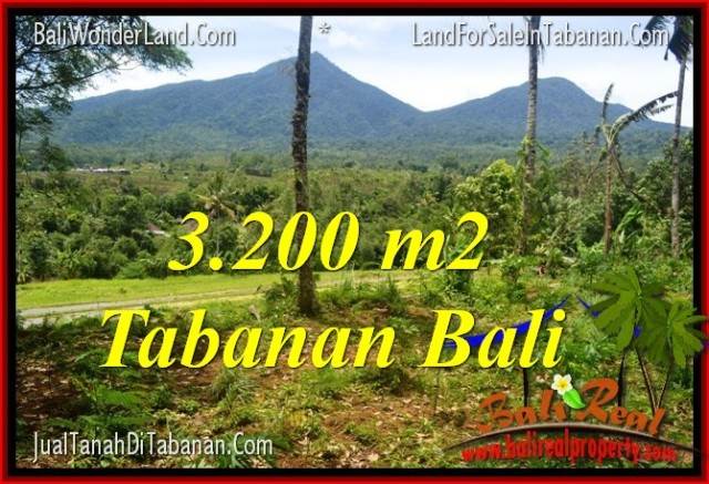 DIJUAL TANAH MURAH di TABANAN BALI 3,200 m2 di Tabanan Penebel