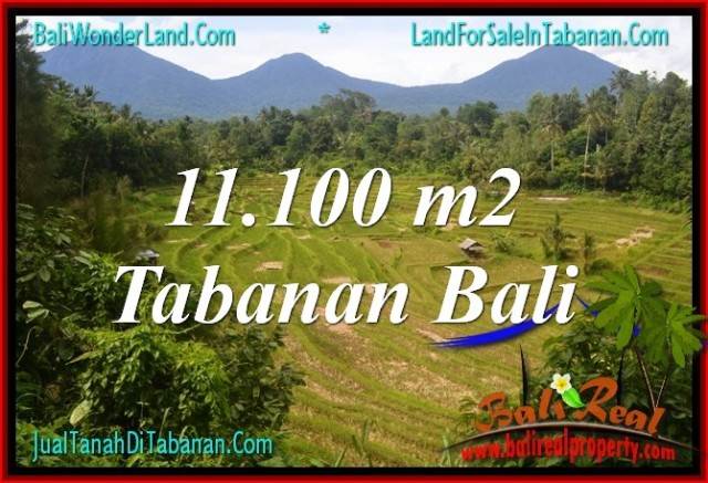 INVESTASI PROPERTI, TANAH DIJUAL di TABANAN TJTB320