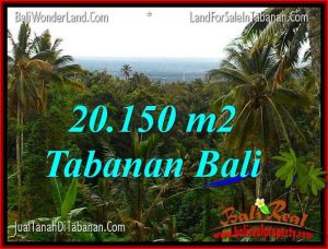 INVESTASI PROPERTI, DIJUAL MURAH TANAH di TABANAN BALI TJTB322