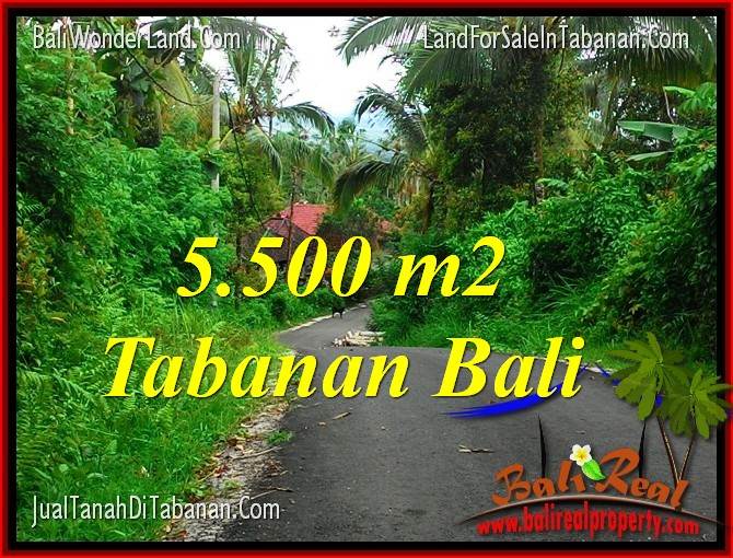 INVESTASI PROPERTY, JUAL TANAH di TABANAN TJTB323