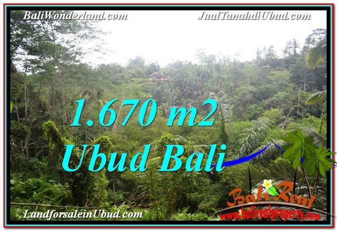 DIJUAL TANAH di UBUD 1,670 m2 di Ubud Payangan