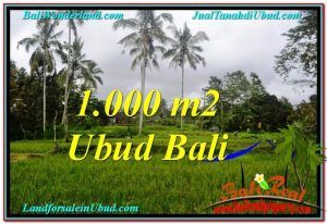 INVESTASI PROPERTI, TANAH di UBUD DIJUAL TJUB570