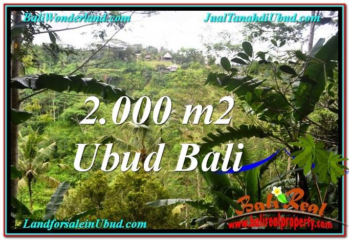 TANAH di UBUD JUAL MURAH 2,000 m2 View Tebing dan Sungai