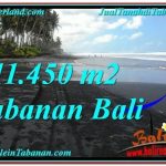 TANAH di TABANAN BALI DIJUAL MURAH Untuk INVESTASI TJTB291