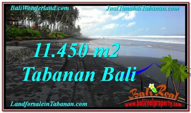 TANAH di TABANAN BALI DIJUAL MURAH Untuk INVESTASI TJTB291