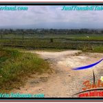 INVESTASI PROPERTI, DIJUAL TANAH di TABANAN TJTB292