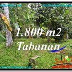 JUAL TANAH MURAH di TABANAN 1,800 m2 View kebun dan sungai