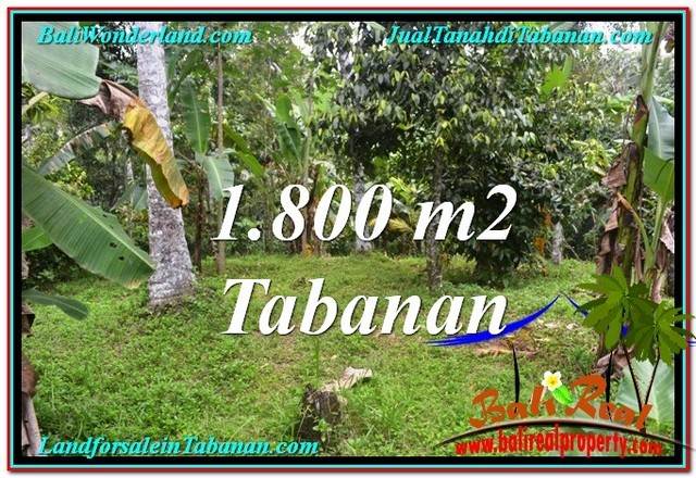 JUAL TANAH MURAH di TABANAN 1,800 m2 View kebun dan sungai