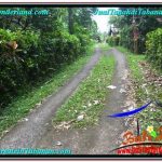 JUAL TANAH MURAH di TABANAN 1,800 m2 View kebun dan sungai