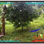 JUAL TANAH MURAH di TABANAN 1,800 m2 View kebun dan sungai