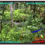 JUAL TANAH MURAH di TABANAN 1,800 m2 View kebun dan sungai