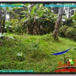 JUAL TANAH MURAH di TABANAN 1,800 m2 View kebun dan sungai