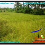 DIJUAL TANAH di TABANAN TJTB311