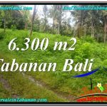 TANAH MURAH di TABANAN JUAL 6,300 m2 View kebun