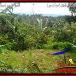 DIJUAL TANAH MURAH di TABANAN BALI TJTB315