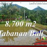 JUAL MURAH TANAH di TABANAN BALI 8,700 m2 View gunung dan sawah