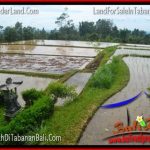 JUAL MURAH TANAH di TABANAN BALI 8,700 m2 View gunung dan sawah