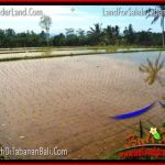 JUAL MURAH TANAH di TABANAN BALI 8,700 m2 View gunung dan sawah