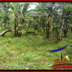 JUAL MURAH TANAH di TABANAN BALI 8,700 m2 View gunung dan sawah