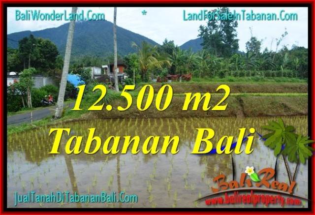 JUAL MURAH TANAH di TABANAN 12,500 m2 View gunung dan sawah