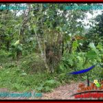 JUAL MURAH TANAH di TABANAN 12,500 m2 View gunung dan sawah