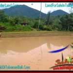 JUAL MURAH TANAH di TABANAN 12,500 m2 View gunung dan sawah