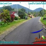 JUAL MURAH TANAH di TABANAN 12,500 m2 View gunung dan sawah