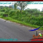 JUAL MURAH TANAH di TABANAN 12,500 m2 View gunung dan sawah