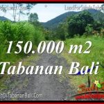 JUAL MURAH TANAH di TABANAN BALI 1500 Are di Tabanan Penebel