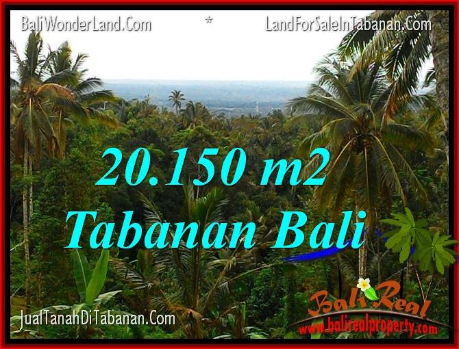 TANAH MURAH DIJUAL di TABANAN 20,150 m2 di Tabanan Penebel