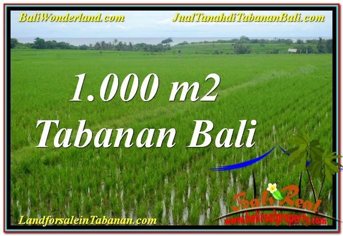 JUAL TANAH di TABANAN BALI Untuk INVESTASI TJTB307