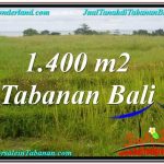 JUAL MURAH TANAH di TABANAN BALI 1,400 m2 di Tabanan Selemadeg