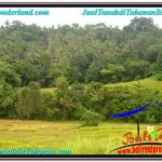 JUAL MURAH TANAH di TABANAN BALI 1,400 m2 di Tabanan Selemadeg