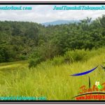 JUAL MURAH TANAH di TABANAN BALI 1,400 m2 di Tabanan Selemadeg