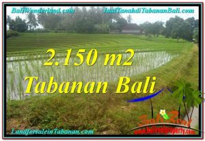 JUAL MURAH TANAH di TABANAN 2,150 m2  View gunung dan sawah