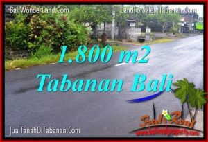 INVESTASI PROPERTI, DIJUAL MURAH TANAH di TABANAN BALI TJTB321