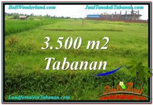 TANAH di TABANAN BALI DIJUAL MURAH 3,500 m2 di Tabanan Kerambitan