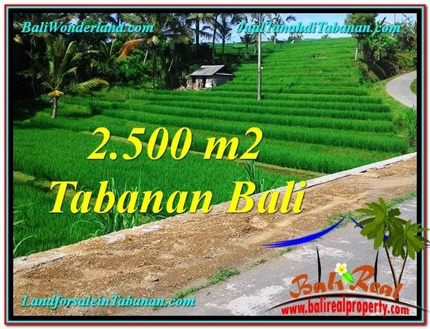 TANAH MURAH JUAL di TABANAN BALI 2,500 m2 View Sawah dan Sungai