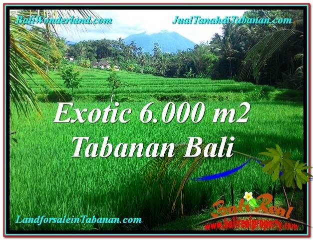 TANAH MURAH JUAL di TABANAN BALI 6,000 m2 View sawah, sungai dan gunung