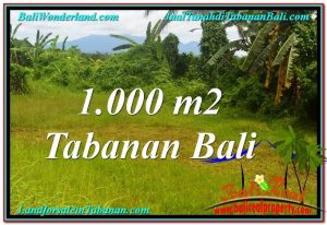 JUAL MURAH TANAH di TABANAN BALI 1,000 m2  View Laut, Gunung dan sawah