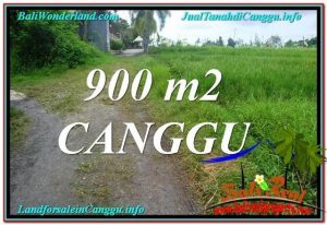 DIJUAL TANAH MURAH di CANGGU BALI 9 Are di Canggu Batu Bolong 